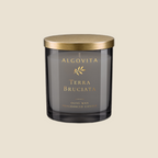 Terra Bruciata Olive Wax Candle