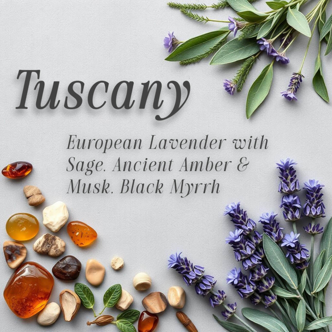 Tuscany Luxury French Lavender and Ancient Amber